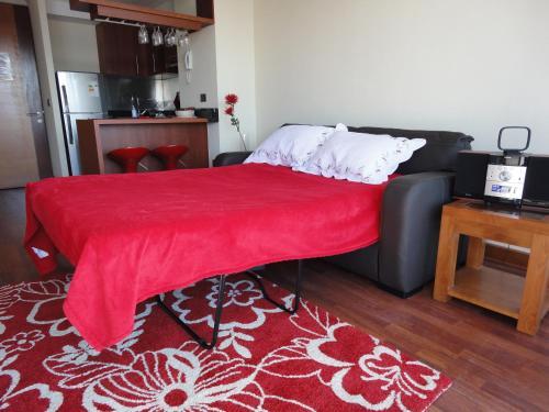 Apartamento Barcel� Suites Providencia I