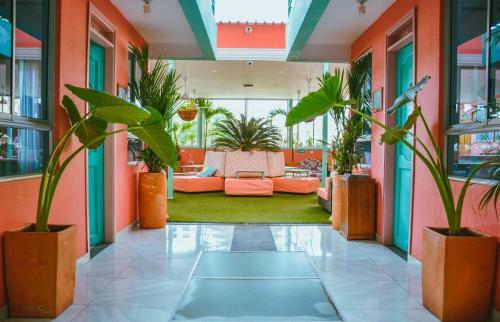 Hostal Flamingo Hostel & Coworking