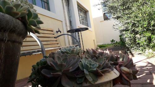 Bed & Breakfast Calvinia Guesthouse