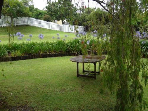 Agapanthus Place