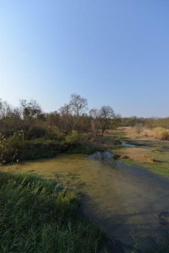 Lodge Karibu River Retreat