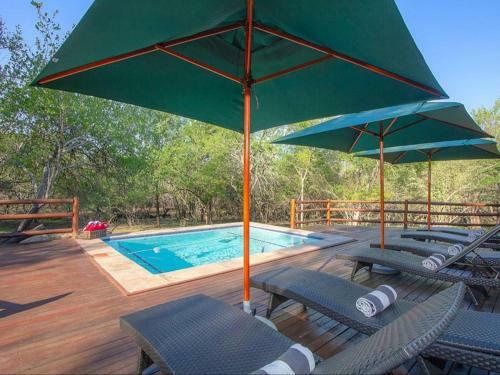 Lodge The Den At Kruger 3479