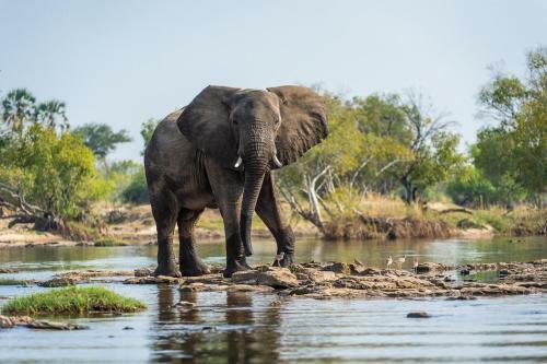 Lodge Wilderness Safaris Toka Leya