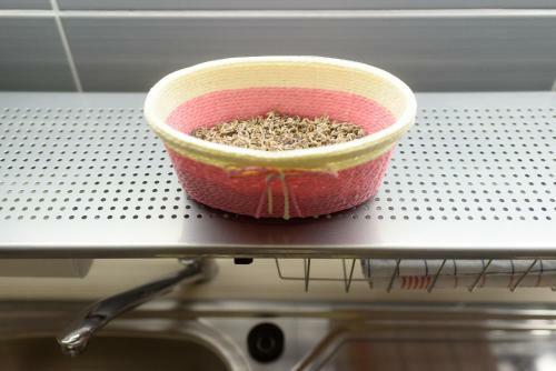 Apartmani Orhideja