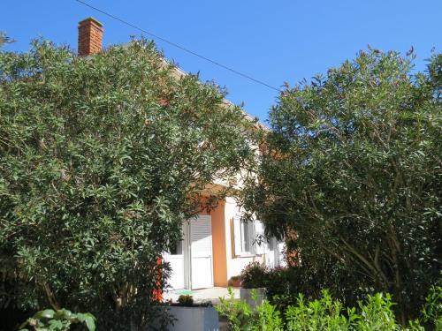 Apartment And Rooms Amenka