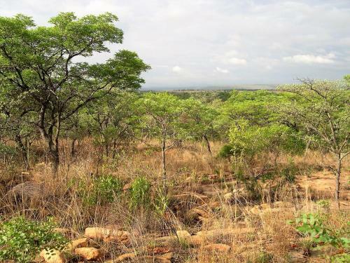 Lodge Shakati Private Game Reserve