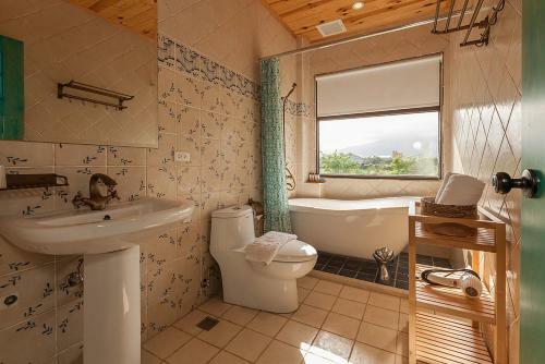 Forest B&B
