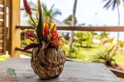 Hotel Casa Del Papa Resort & Spa