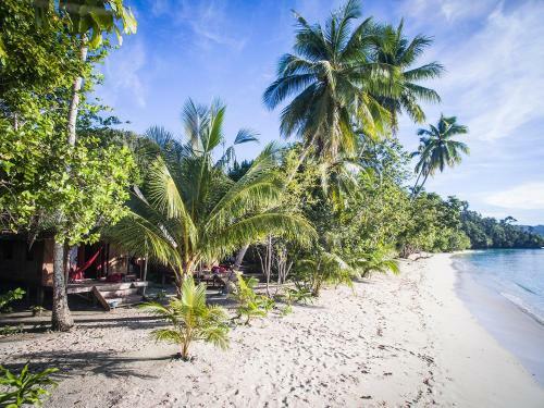 Hotel Raja Ampat Biodiversity Nature Resort