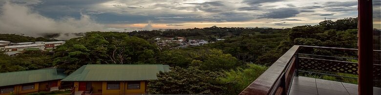 Hotel Ficus Sunset Suites