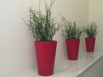 Apartamento Mc Queen
