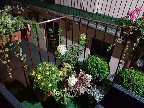 Apartment-hotel City Center Contrabas