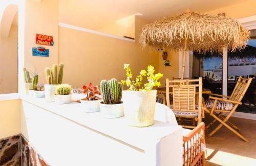 Bah�a La Caleta Apartment