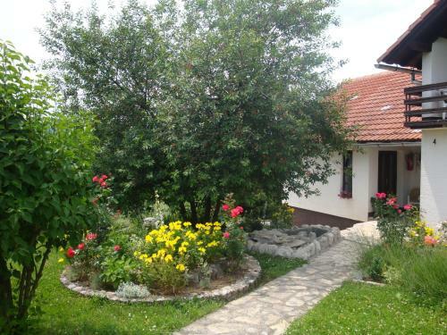 Hostal Guest House Jandric