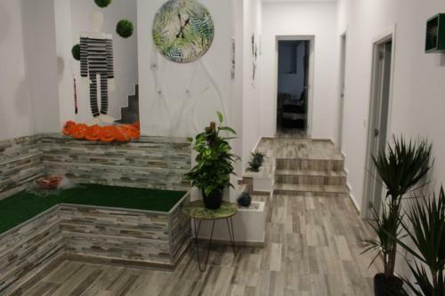 Apartamentos Pino Central
