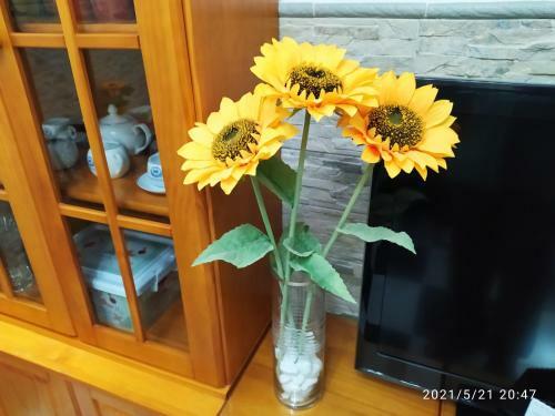 Apartamento Los Tres Girasoles