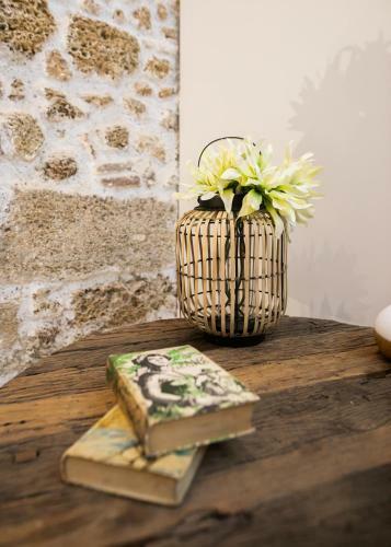 Apartamento Innc�dizcasa Se�orial de 1790