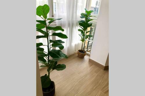 Apartamento Gatu Villa Libertad