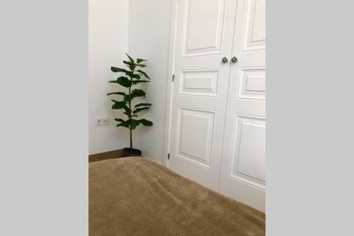 Apartamento Gatu Villa Libertad
