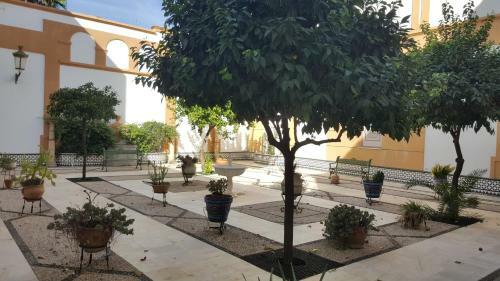 Apartamento Entre Patios Valladares