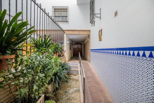 San Miguel, C�modo Apartamento En Pleno Centro