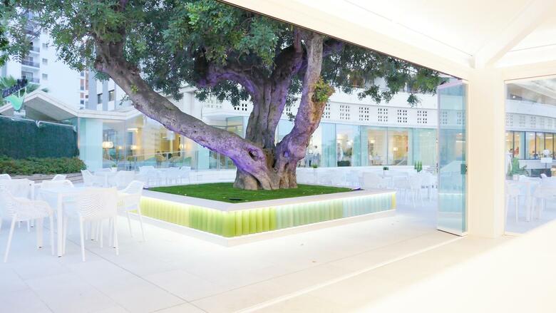 Hotel Primavera Park