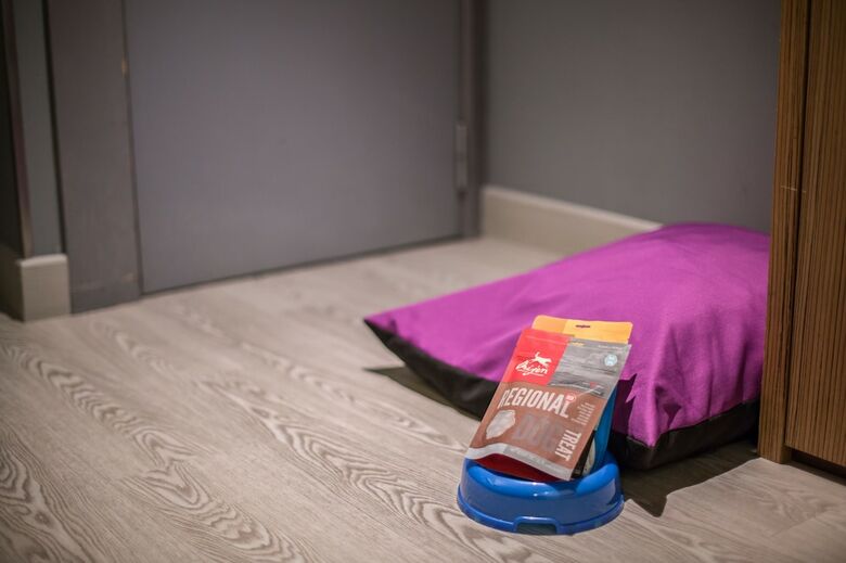 Hotel Petit Palace Alcal� Torre