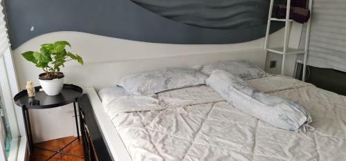 11th Floor Dago Suites Apartment