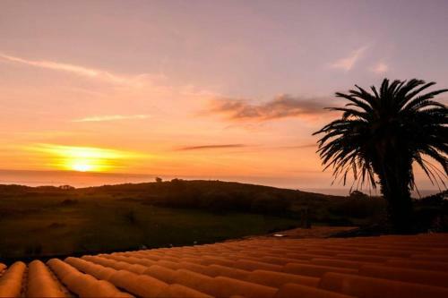 Finca Con Piscina En Doni�os