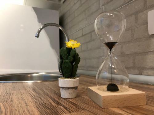 Apartamento Cactus Lodge