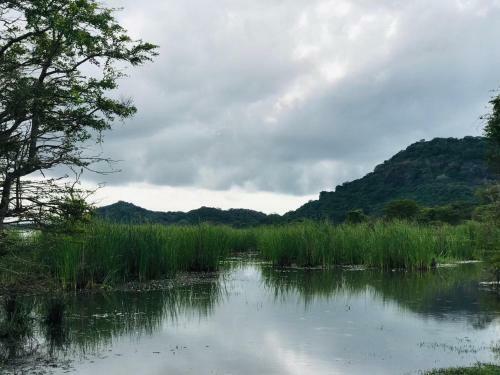 Elephant Lake