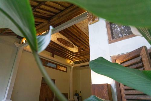 Adara Homestay