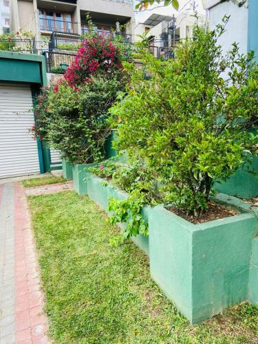 Hostal Hillcrest Holiday Homes