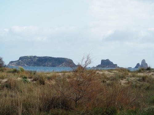 Apartamento C�ntrico Y Renovado, 100m de La Playa