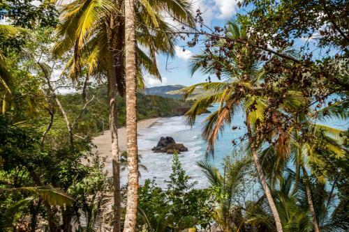 Chalet Tropical Village