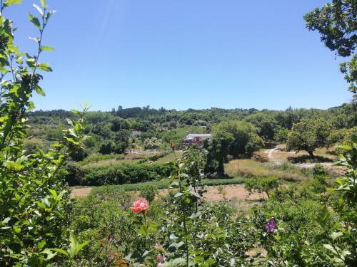 Finca El Palomar