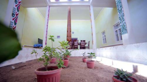 Hostal Qutlug Qadam Guest House