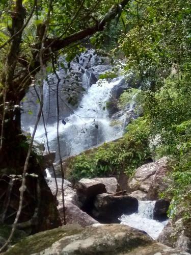 Hostal Evergreen Villa - Sinharaja