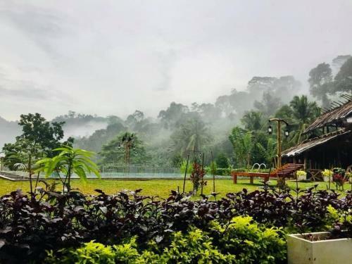 Hotel Tea Garden Eco Villas