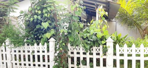 Hotel Cinnamon Garden - Hiriketiya