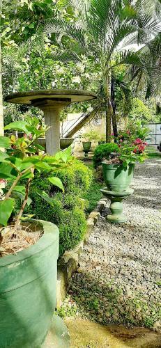 Hotel Cinnamon Garden - Hiriketiya
