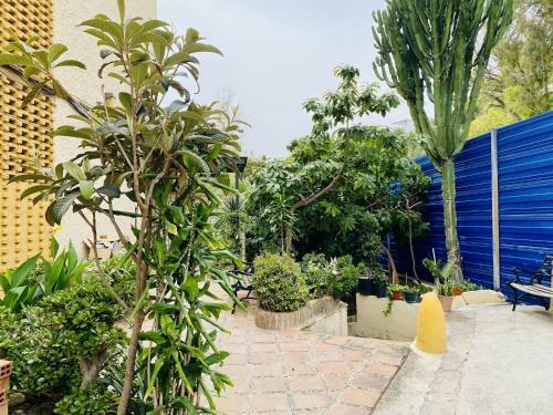 Apartamento Segunda Linea de Playa Brisa Tropical