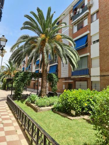 Palm Tree Eco Apartment In Fuengirola Center
