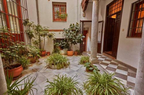 Charming, Spacious Albayzin Apartment