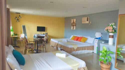 Vcdu Prince Hotel Inc
