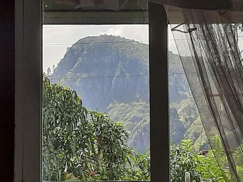 Welcome Homestay
