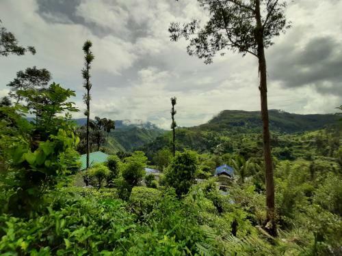 Owinhill Homestay