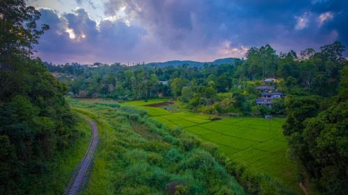 Lodge Ella Breeze Homestay