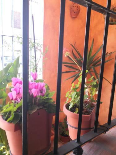 Casa Puerta De La Sierra
