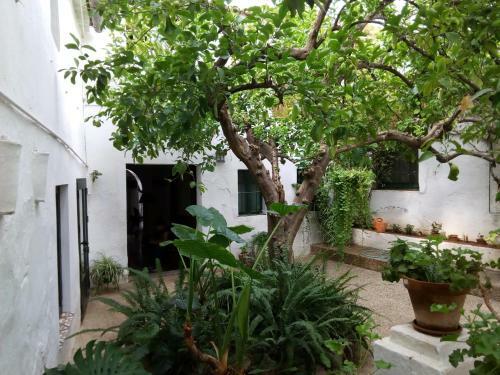 Agroturismo Las Jimenas